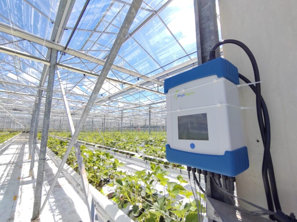 Vivent biosensor in glasshouse