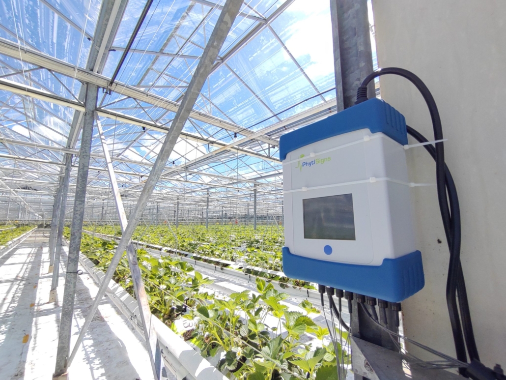 Vivent biosensor in glasshouse