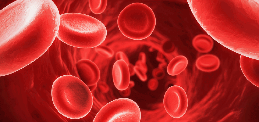 VarmX, a CGI-photo of blood cells
