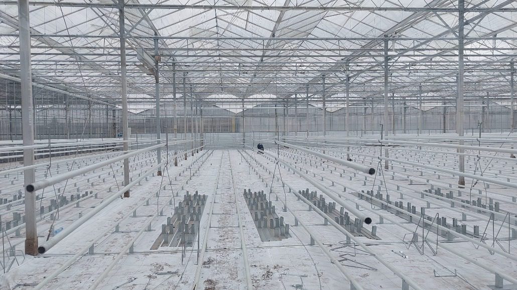 A Harmoniz construction.