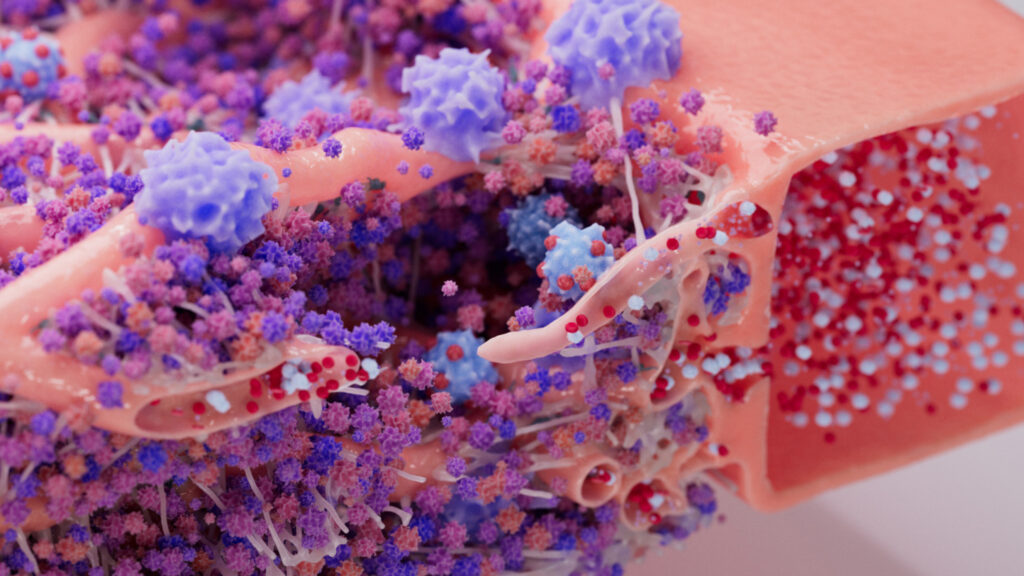 Phospho, a biomedical animation company