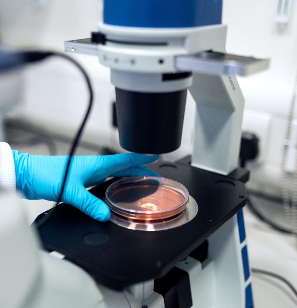 A picture of a microscope in a laboratory.