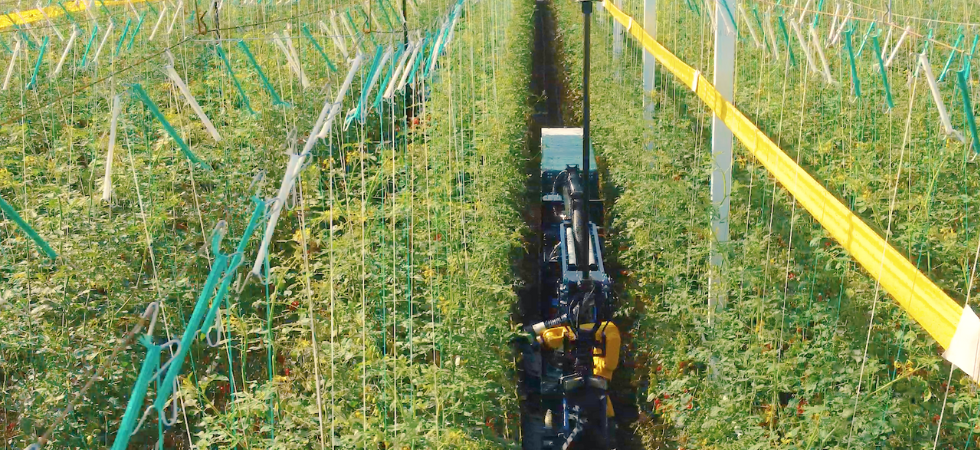 A picture of a machine in a greenhouse.