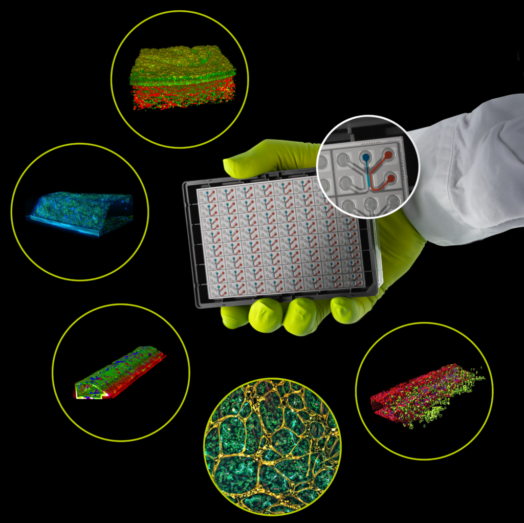MIMETAS OrganoPlate with 3D human tissue models for organ-on-a-chip research and drug development