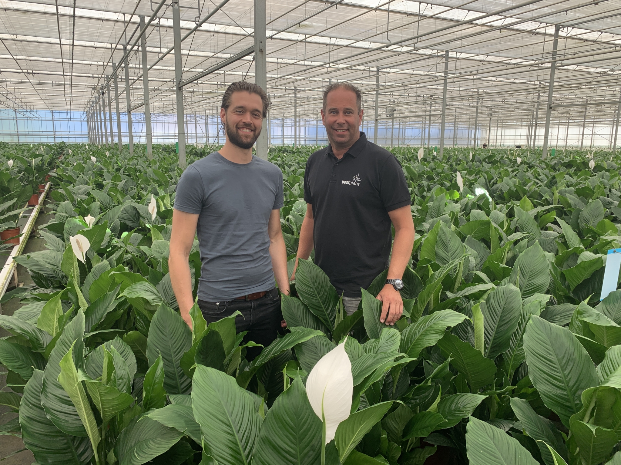 Een kas waar de eerste test plaatsvond bij Bestplant.